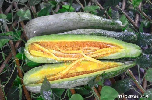 网红吃瓜赵露丝,网红吃瓜界的风云人物  第2张 网红吃瓜赵露丝,网红吃瓜界的风云人物  第2张