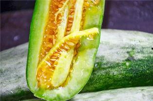 网红吃瓜赵露丝,网红吃瓜界的风云人物  第3张 网红吃瓜赵露丝,网红吃瓜界的风云人物  第3张