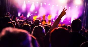 长春音乐节爆料视频最新,精彩瞬间盘点!  第2张 长春音乐节爆料视频最新,精彩瞬间盘点!  第2张