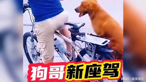 狗哥爆料新鞋视频播放,新鞋视频播放,潮流新品抢先看!  第2张 狗哥爆料新鞋视频播放,新鞋视频播放,潮流新品抢先看!  第2张