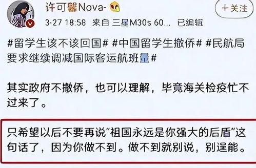 许可馨最新言论被爆料,揭秘其言论背后的真相  第2张 许可馨最新言论被爆料,揭秘其言论背后的真相  第2张