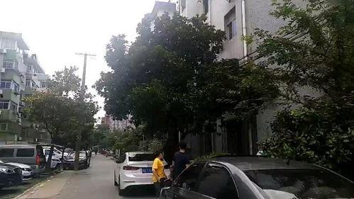 南公村小区爆料视频,真实生活场景引发热议  第2张 南公村小区爆料视频,真实生活场景引发热议  第2张