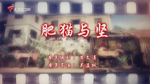 七十二家租客在线观看,温情回忆,笑中带泪的都市生活画卷  第1张 七十二家租客在线观看,温情回忆,笑中带泪的都市生活画卷  第1张